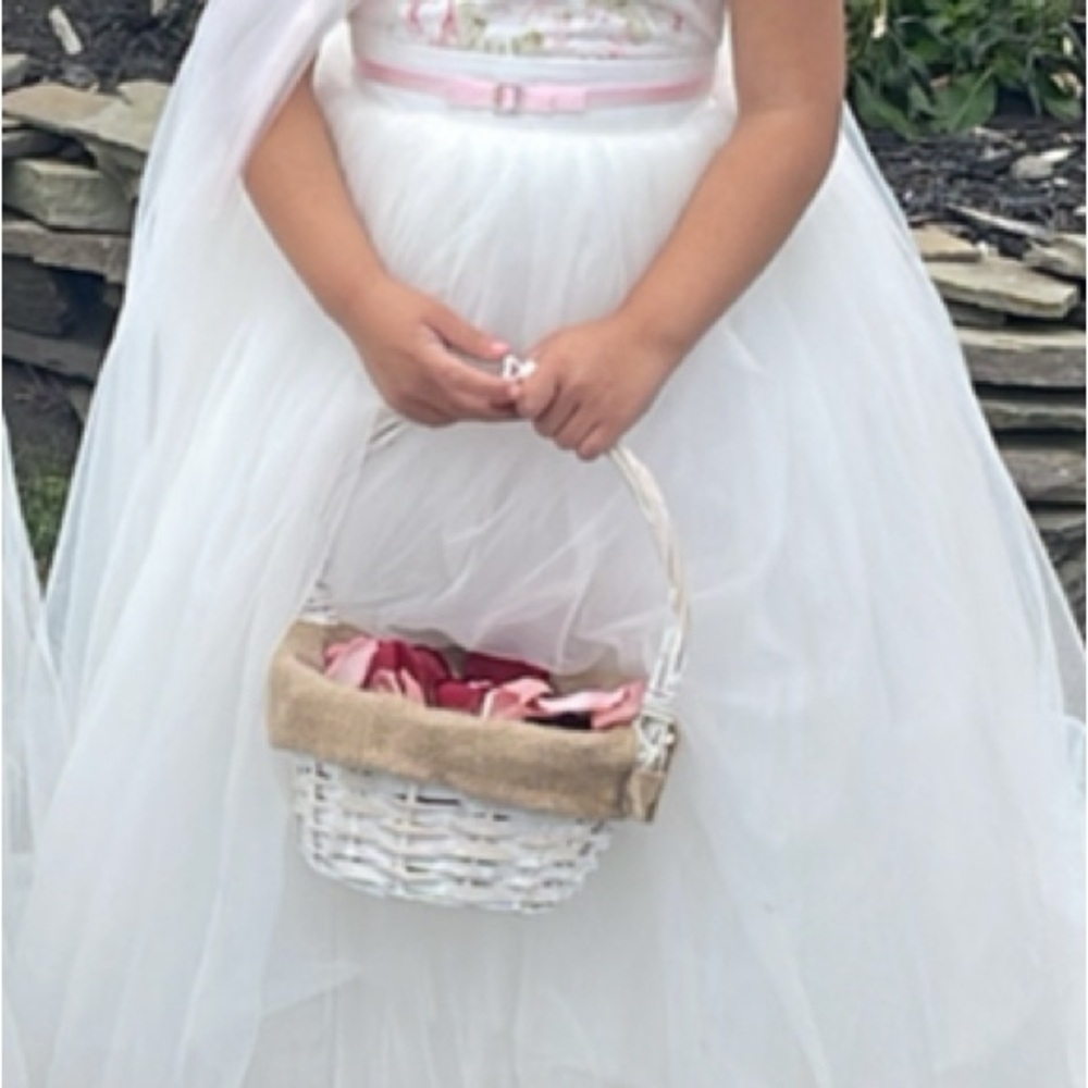 Dollcake Flower Girl Dress - Worn Once - Includes Matching Tulle Cape